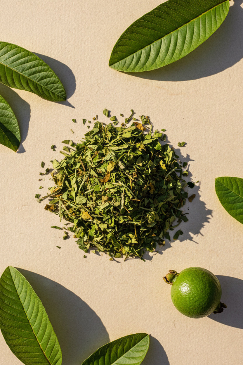 guava leaves
