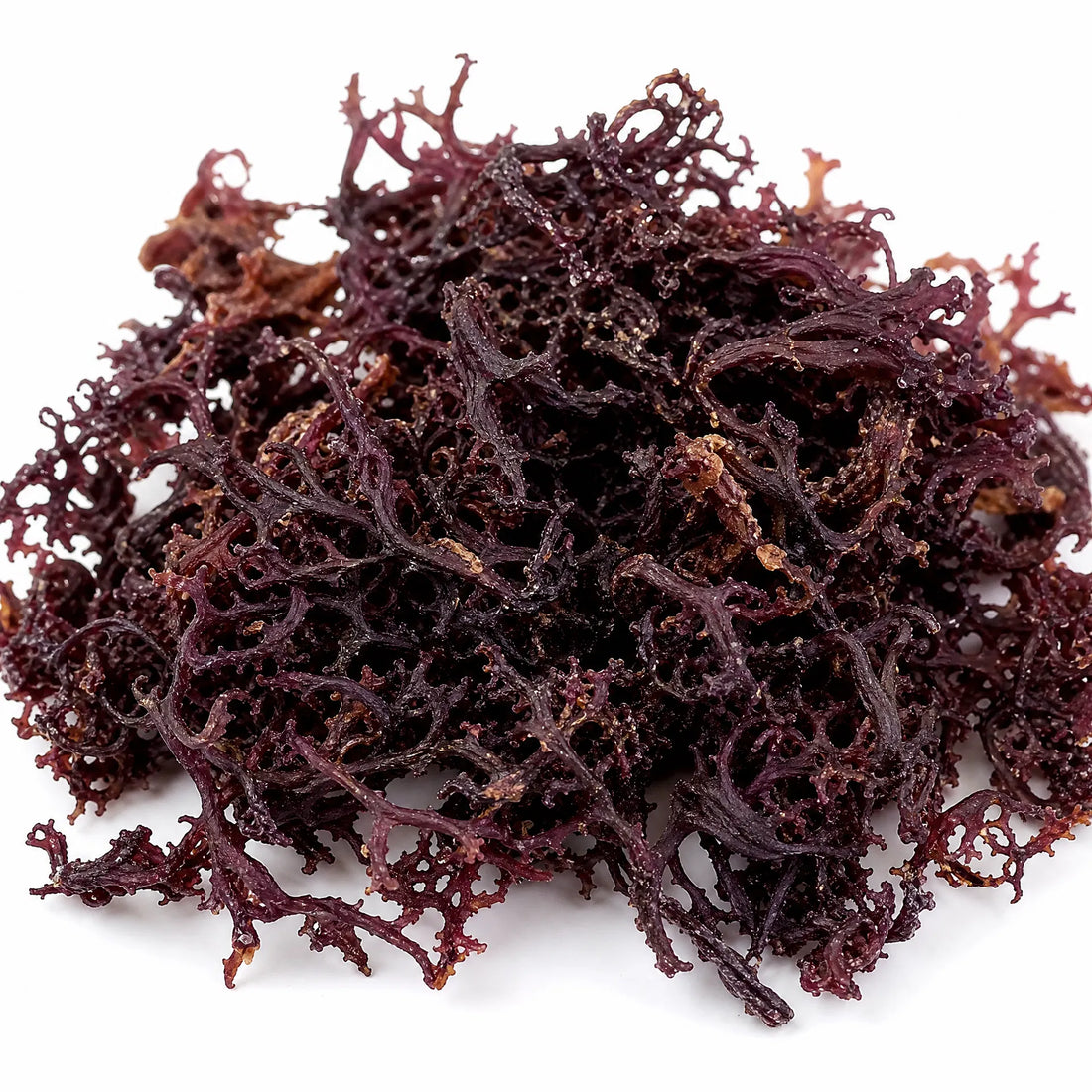 Wildcrafted dried sea moss from Trinidad &amp; Tobago