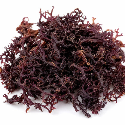 Wildcrafted dried sea moss from Trinidad &amp; Tobago