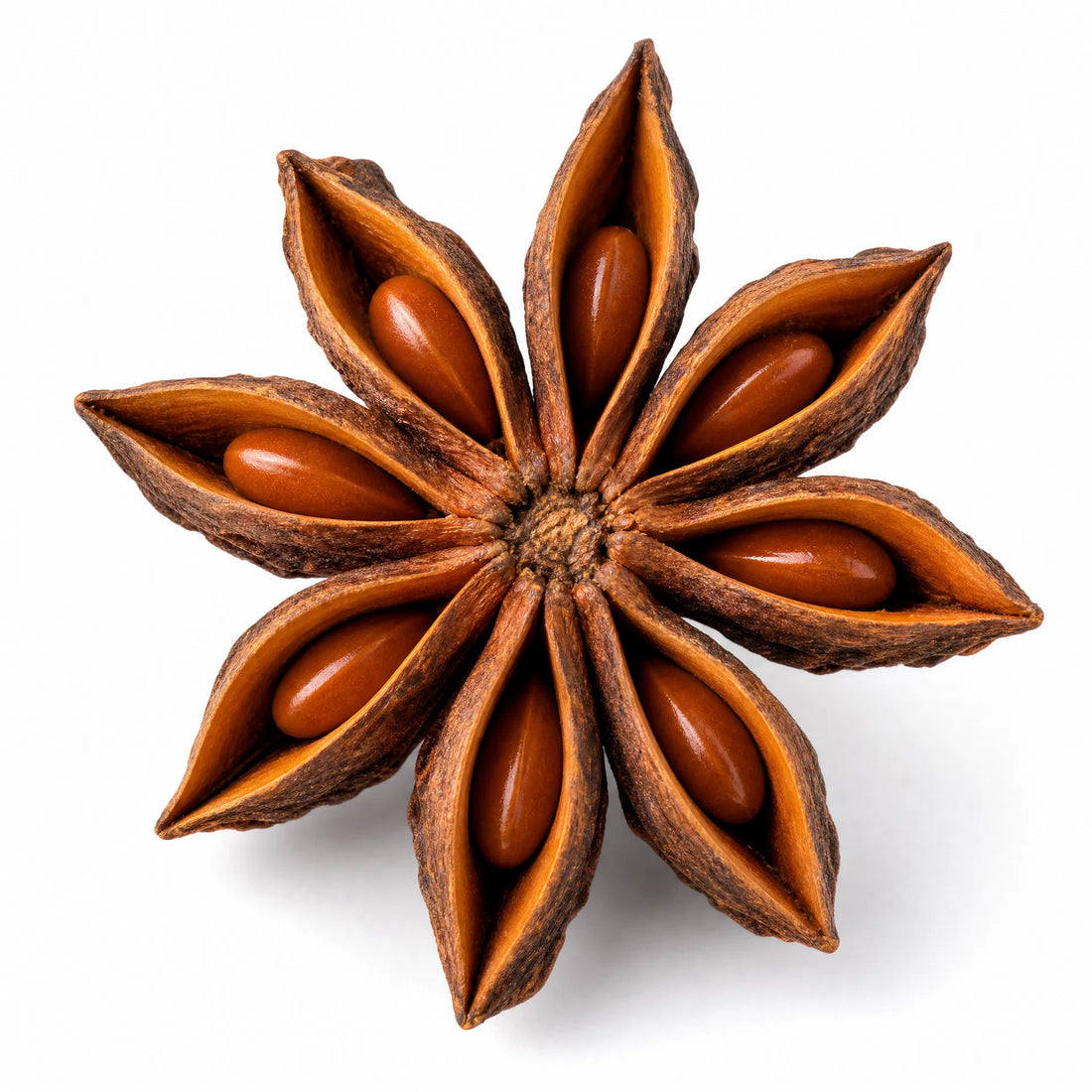AH Taste of Home Star Anise –Organic Star Anise Pods | Whole Star Anise Spice | Aromatic Culinary Spice | Herbal Tea Ingredient | Premium Caribbean Kitchen Essential Premium Whole Star Anise Pods for Tea, Baking &amp; Cooking (Trinidad)